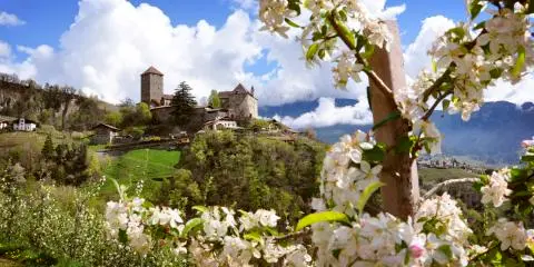 Titelbild für Der sonnige Süden Südtirols - Dorf Tirol bei Meran