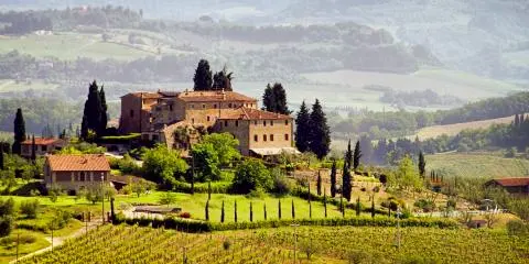 Titelbild für Zur Olivenernte in die Toskana