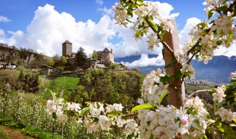 Der sonnige Süden Südtirols - Dorf Tirol bei Meran
