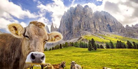 Titelbild für Premiumreise Sonniges Südtirol