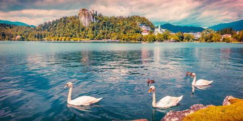 Titelbild für Seenromantik in Bled