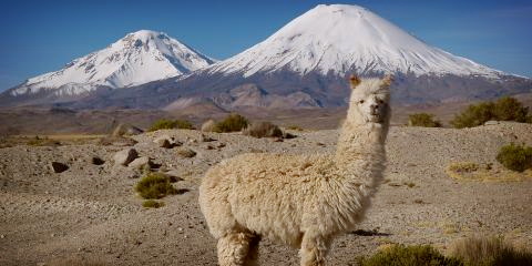 Titelbild für Chile & Argentinien - Eine Reise zum 