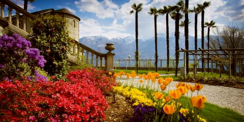 Titelbild für Zur Tulpenblüte an den Lago Maggiore