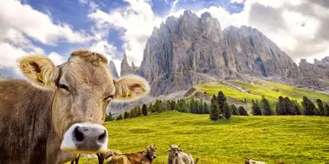 Titelbild für Die schönsten Seiten Südtirols